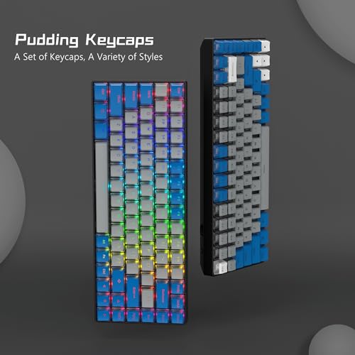 Image of Womier PBT Pudding Keycaps- Shine Through Keycaps | 164 Keys Keycap Set 60 65 75 100 Percent, OEM Profile for Custom Cherry Gateron MX Switches Mechanical Keyboard, Blue