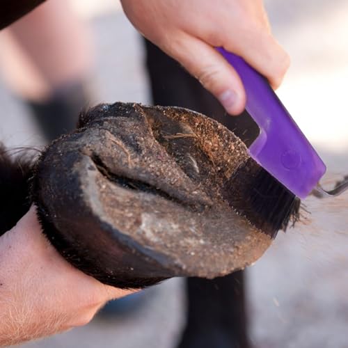 Palhetas de casco para cavalos – 2 em 1 polimento e escovas para cascos de cavalo – palheta de casco