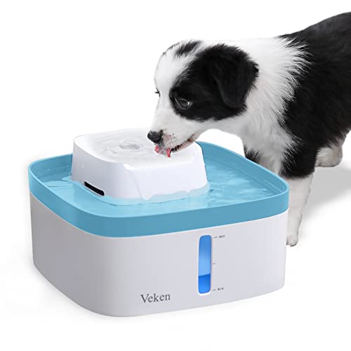 Find The Best Pet Filtered Water Fountain Reviews & Comparison Katynel