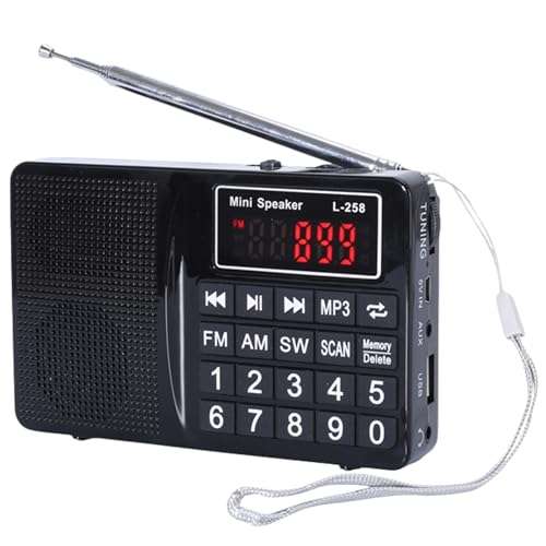 Multi-Band Plug-in Card Radio with FM, AM, SW, MP3 Player, USB Charging (Black)