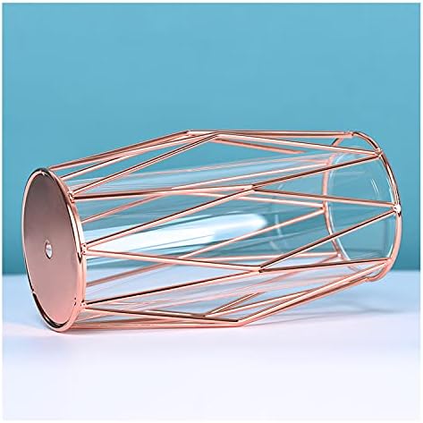 Glass Vase for Flowers with Geometric Rose Gold Metal Stand, Modern Elegant Style Cylinder Clear Vase for Flowers and Plants, Home Decor, Office, Living Room, Shelf, Wedding Decoration