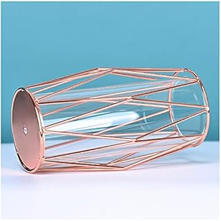 Glass Vase for Flowers with Geometric Rose Gold Metal Stand, Modern Elegant Style Cylinder Clear Vase for Flowers and Plants, Home Decor, Office, Living Room, Shelf, Wedding Decoration