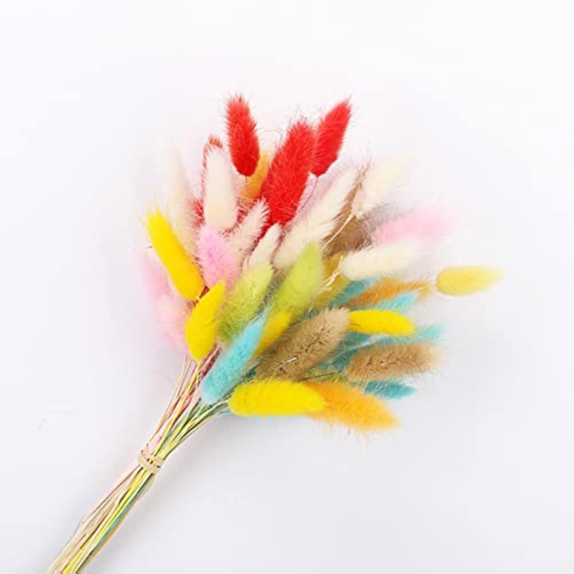 2x Natural Dried Flowers Bouquets Rabbit Tail Grass Decor Yellow