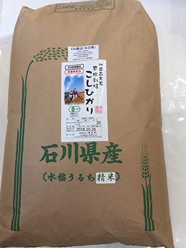 ߘa7NY V ΐ쌧 JASF L@ Ђ [̐] (30kg()())