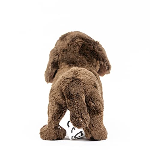 Teddys Rothenburg Kuscheltier Dackel Dunkelbraun 19 cm Plüschdackel Plüschtier