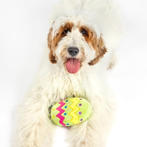 Juguete para perros Midlee huevo de pascua pequeño miniatura 5