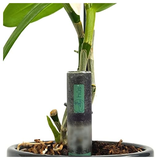 hûs+ flower eco 【 A babysitter for your plants 】 Digitaler Gießanzeiger inkl. 10-Jahres-Batterie * Feuchtigkeitsmesser für Pflanzen Feuchtigkeitsmessgerät Bodentester (2)