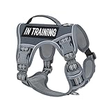 AUNZO No-Pull Dog Harness for Small Dog Breeds, Anti-Escape Easy Walking Reflective Adjustable Lightweight Dog Vest with Breathable Oxford Material, Easy on Easy Off with Neck Buckle, Gray XS