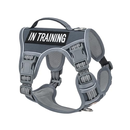 AUNZO No-Pull Dog Harness for Small Dog Breeds, Anti-Escape Easy Walking Reflective Adjustable Lightweight Dog Vest with Breathable Oxford Material, Easy on Easy Off with Neck Buckle, Gray XS