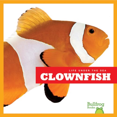 Clown Fish (Life Under the Sea)