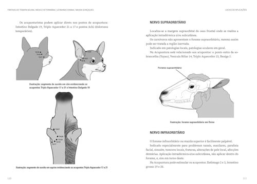 Tratado de Terapia Neural Médico Veterinária