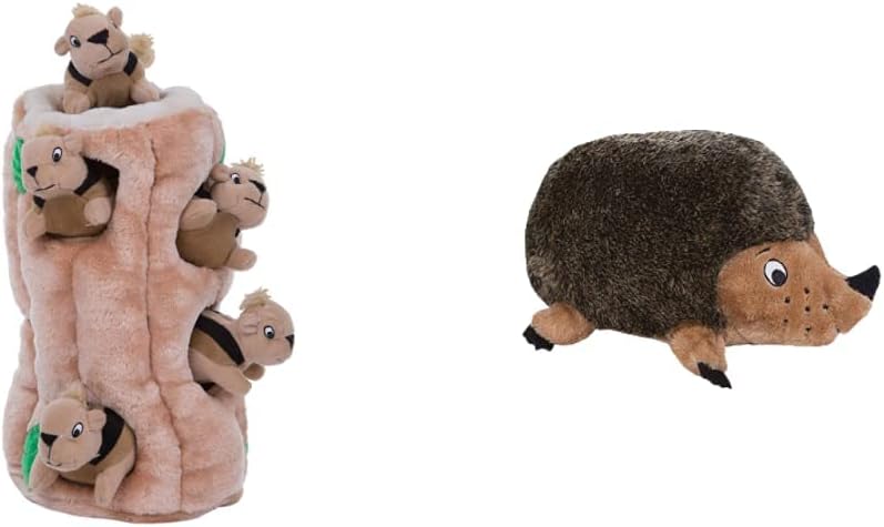 outward hound hide a squirrel