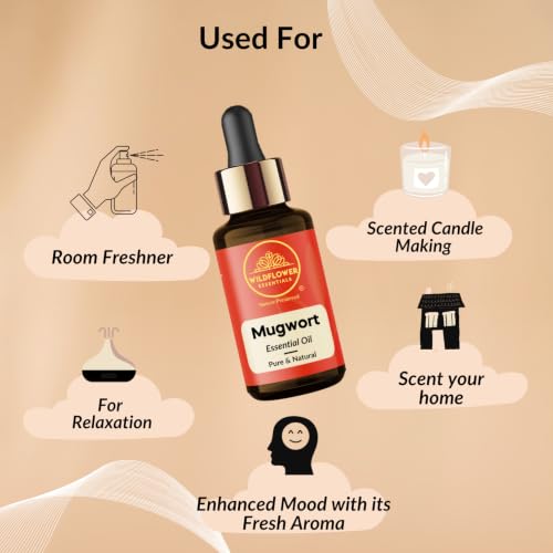 Image of Mugwort Essential Oil (Artemisia vulgaris) Pure | Non-Sticky | Lightweight | Steam Distilled | All Skin Type | Men & Women (10ml)