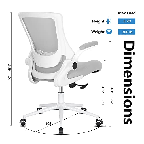 Misolant Desk Chair, Mesh Office Chair, Ergo Chair, Ergonomic Office Chair With Adjustable Lumbar Support And Height, Recline Office Chair Office Desk Chair 360°Swivel Office Chair (Light Gray) #TOP5