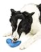 PetSafe Freezable Treat Holding Chilly Penguin - Durable, Vanilla-Scented, Rubber, Freezable Interactive Pet Puzzle for Boredom or Separation Anxiety - for Medium & Large Dogs