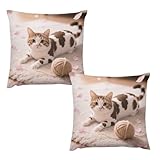 Lot complet de 2 et plusieurs tailles : cet ensemble pratique comprend deux housses de coussin assorties. Disponibles en 7 tailles carrées (de 30,5 cm à 66 cm), elles offrent des options polyvalentes pour décorer votre canapé, superposer sur un lit ou accentuer un fauteuil, offrant une grande valeur et une flexibilité de style.