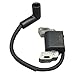 Ignition Coil – Precision Replacement for Briggs & Stratton Lawn Mower Engines (Z567) 593872 595009 596532 798534 799582 799934 84005272