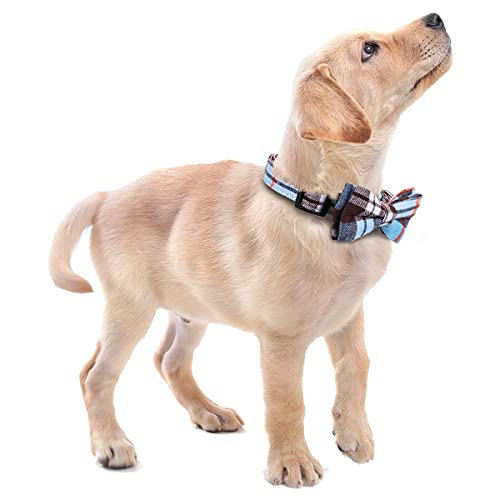 Faleela Soft &Comfy Bowtie Dog Collar,Detachable And Adjustable Bow Tie Collar,For Small Medium Large Pet (M, Blue) #TOP5