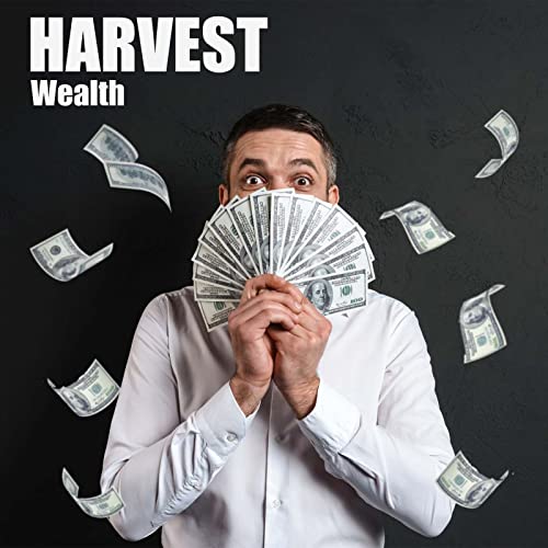 Hetica Feng Shui Cinnabar Ring, Lucky Wealth Buddhis Amulet Band Ring For Men Women, Fengshui Lucky Ring Money Amulet Lucky Rings That Bring Good Luck Mother's Day Gifts #TOP2