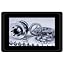 2* COM RS232