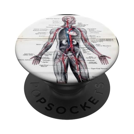 Medical Nursing Student Anatomy Chart PopSockets Grip and Stand for Phones and Tablets