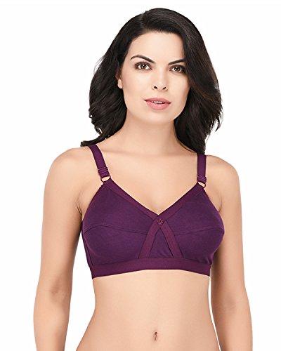 Image of Elina Women's Full Coverage Horsery D-Cup Bra.(Set of 1)