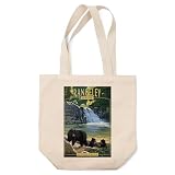 Lantern Press Rangeley, Maine, Painterly, Little Falls, Black Bear and Cubs (100% Cotton Canvas Reusable Tote Bag)