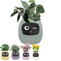 Amazon.co.jp: Plantagotchi スマート プランター、スマート植木鉢