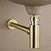 TRUSTMI Bottle Trap, Brass Decorative 1 1/4 Bathroom Sink P Trap, Large Body Round Lavatory Waste Drain Kit, Brushed Gold