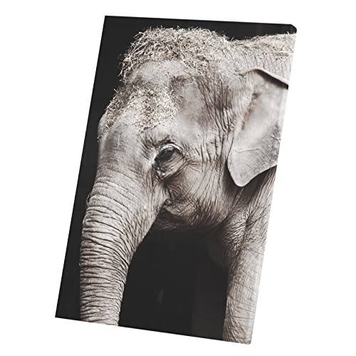 Bébé animal affiche poster éléphanteau pour chambre d'enfant