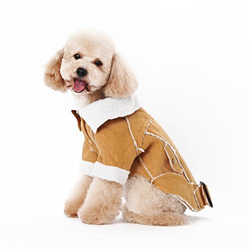 Vêtements pour chien chaud Pety pull polaire épais contre le froid