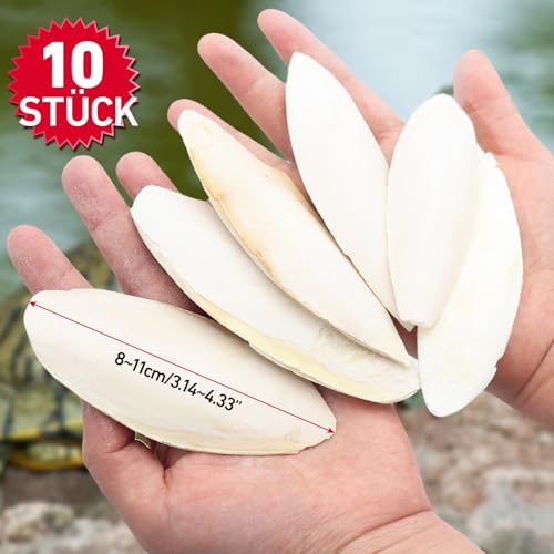 10 Stück 8-11 cm Sepiaschalen, Sepiaschalen für Schildkröten, handgemachte Tintenfischschalen geeignet zur Kalziumversorgung für Vögel, Schildkröten und Reptilien als Haustiere. – Bild 6