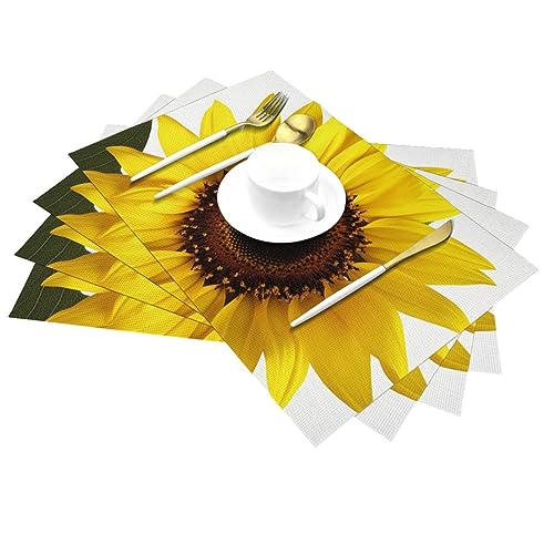 Sets de table antidérapants en PVC lavable pour protéger votre table basse de la chaleur en lot de 6