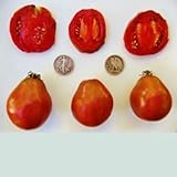 Japanese Black Trifele - Organic Heirloom Tomato Seeds - Great Slicer - 40 Seeds