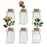 Design élégant : nos vases bourgeons sont livrés en lot de 6 et mesurent 8 x 16 cm (D x H), les vases bourgeons ont un col fin et une base robuste qui tient bien et est facile à tenir. Beaucoup de quantité, assez pour répondre à vos besoins. Comprend des autocollants supplémentaires, vous pouvez bricoler comme vous le souhaitez.