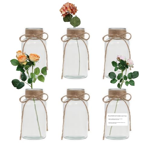 Lot de 6 vases en verre vintage de 500 ml pour fleurs, décoration de table, décoration de table, centre de table de mariage, centre de table – Vases mignons faits à la main