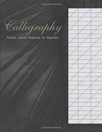 Télécharger Calligraphy Practice Journal Notebook for Beginners: Blank Book Hand Lettering Writing Paper 100 Pag Gratuit