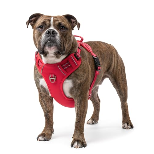 Reichstadt Pets Hundegeschirr – Verstellbares No-Pull Geschirr mit Griff & Reflektoren | Atmungsaktiv, Gepolstert & Strapazierfähig | Sicherheitsgeschirr für Mittlere Hunde 25RSP083 Red M