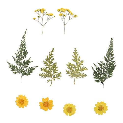 SEWACC 6 Folhas 20 Unidades Flores Secas à Mão Enfeites De Artesanato Flor Seca De Resina Epóxi Flor