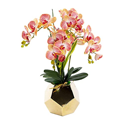 Fausses fleurs orchidées en pot pour oublier l'arrosage du salon