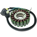 kymco kxr 250 anlasser  Lichtmaschine für Kymco KXR 250 / MXU 250 / Maxxer 250