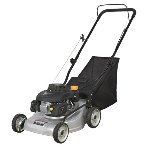 Preisvergleich Produktbild Sealey GL56 Benzin-Rasenmäher, 400 mm, 3 PS