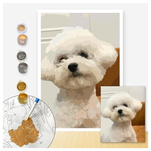LINEPARK Pintura por NúMeros Adultos Personalizada con Foto para Kits Personalizados para Pintar por NúMeros para Adultos (Sin Marco, 30x40cm)