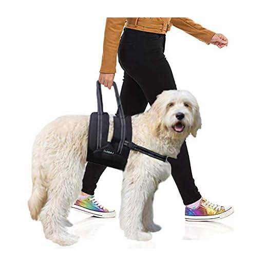 Labra Veterinarian Approved Dog Canine K9 Sling Assist with Chest Strap Adjustable Reflective Straps Support Harness Helps with Loss of Stability Joint Injuries Arthritis ACL Rehabilitation Rehab