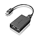 Lenovo DP to Dual-DP Adapter Schwarz