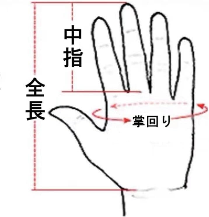 [Wonderful Select] 日本陸軍 陸軍航空隊 手袋 薄茶 山羊革 複製品