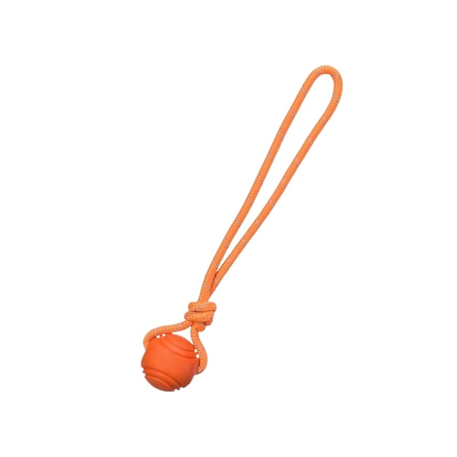 Balle interactive pour chien jouet d'entraînement et d'exercice L