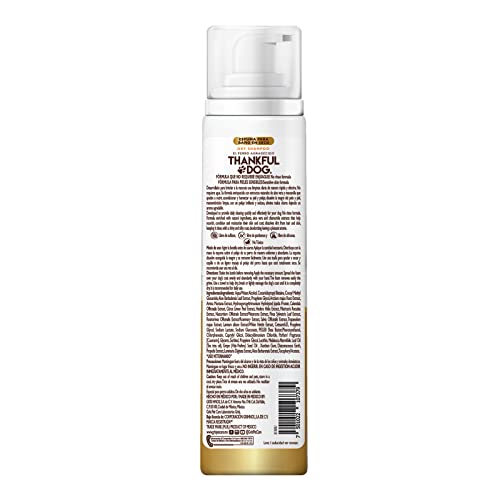 Cuidado Para El Cabello, Beauty Imagen adicional