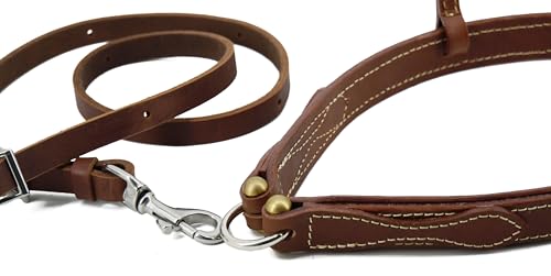 Jeereal Round Nose Caveson Noseband with Leather Horse Tie Down Strap for Horses Efficient Horse Training Aid | Premium Heavy Oiled Harness Leather | Reinforced Stitching