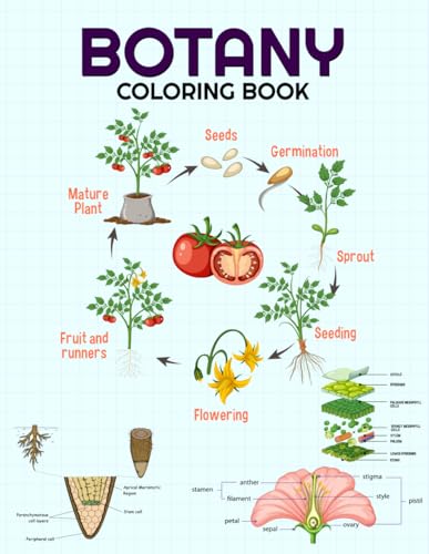 Botany Coloring Book: Detailed Plant Anatomy Coloring pages for Biology & Botany Students